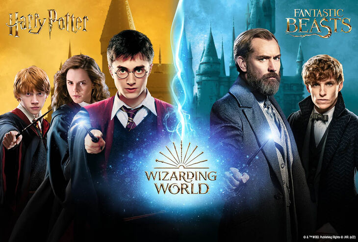 Harry Potter - Gryffindor | Vêtements et accessoires pour les fans de merch