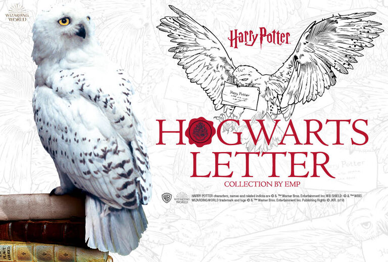 Commandez notre collection maintenant