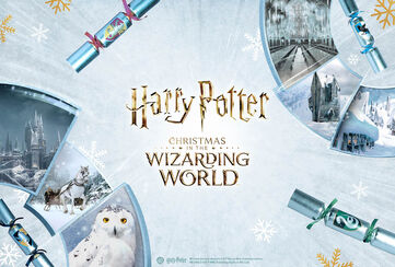 Christmas in the Wizarding World / Découvrir !