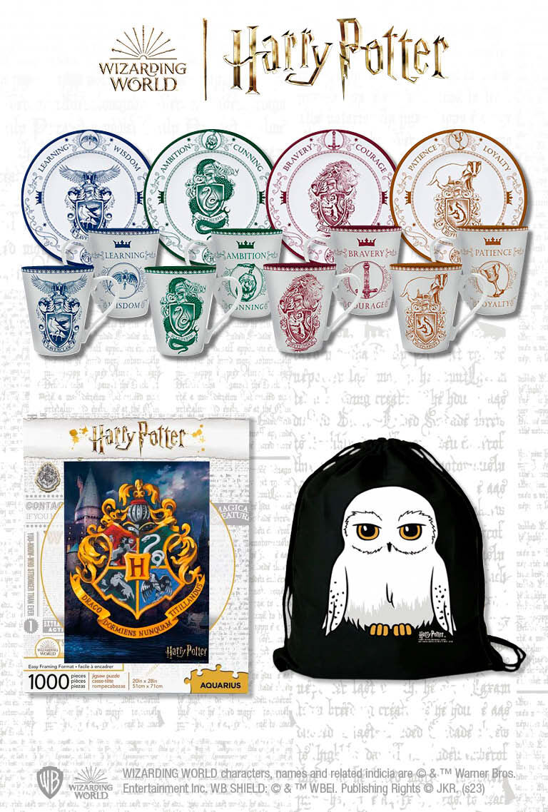 Cadeau Harry Potter : Bol à Soupe Chaudron en céramique avec