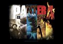 Album Collage, Pantera, Drapeau