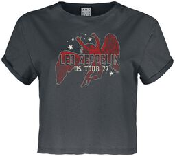 Amplified Collection - Icarus, Led Zeppelin, T-Shirt Manches courtes