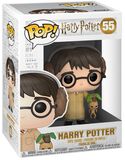 Harry Potter (Herbologie) - Funko Pop! n°55, Harry Potter, Funko Pop!