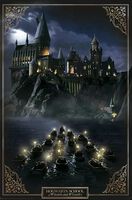 La Grosse Dame - Poster Porte, Harry Potter Poster
