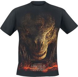 House of the Dragon - Dragon throne, Game Of Thrones, T-Shirt Manches courtes