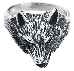 Wolf Packs, etNox hard and heavy, Bague