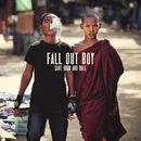 Save Rock and Roll, Fall Out Boy, CD