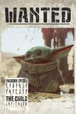 The Mandalorian - Baby Yoda Wanted, Star Wars, Poster