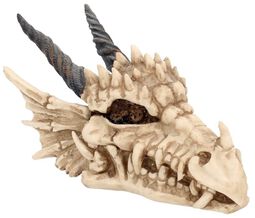 Boîte Dragon Skull, Nemesis Now, Articles De Décoration