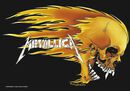Skull & Flames, Metallica, Drapeau