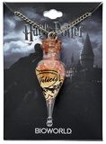 Bouteille, Harry Potter, Collier