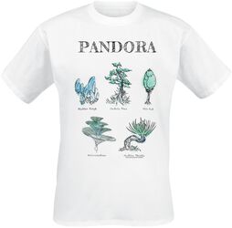 Pandora flora sketches