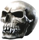 Crâne d'Orque, Markus Mayer, Crâne