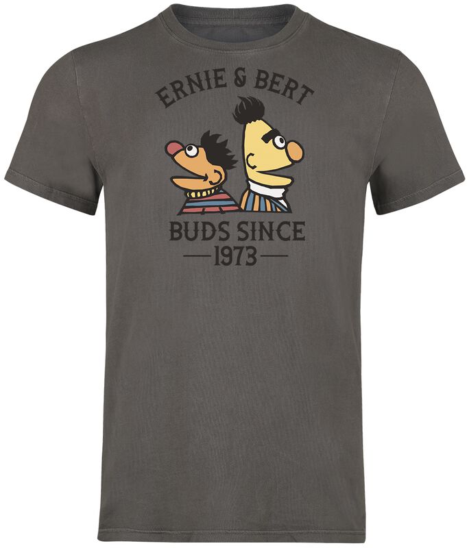 Ernie and Bert - Bros since 1973