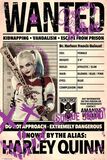 Harley Quinn - Wanted, Suicide Squad, Poster