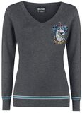 Serdaigle, Harry Potter, Pull tricoté