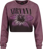 Nirvana Nevermind Stone Sweat-Shirt à Capuche Homme Anthracite - Officiel 100% Coton
