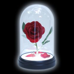 Rose Enchantée, La Belle Et La Bête, Lampe