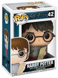Figurine En Vinyle Harry Potter Et La Carte Du Maraudeur 42, Harry Potter, Funko Pop!