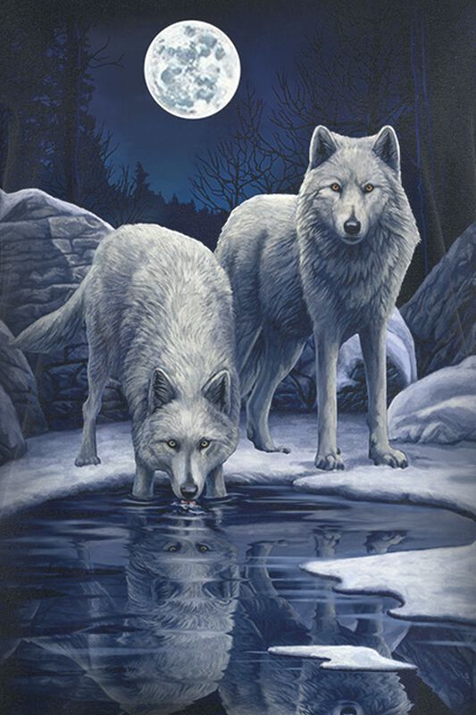 Guerriers De L'Hiver Spiral TShirt Manches courtes EMP