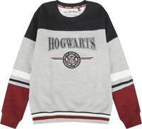 Sweat à Capuche Homme J'attends ma Lettre de Poudlard - Harry Potter - Noir - XL Sweat à Capuche Homme J'attends ma Lettre de Poudlard - Harry Potter - Noir - XL