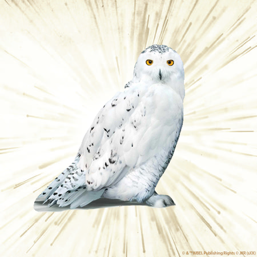 Hedwige